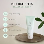 Beauty of Joseon Green Plum Refreshing Cleanser – Bild 4